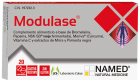 Modulaza