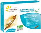 Kurkuma Diabelski Pazur Skrzyp Bio 40 kapsułek