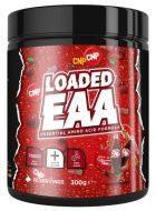 Załadowany EAA 300 gr