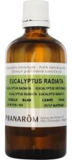 Olejek Eukaliptusowy Radiata