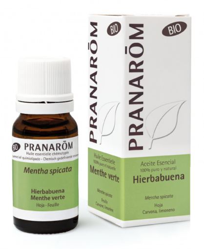 Pranarom Organiczny olejek eteryczny z mięty pieprzowej 10 ml