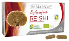 Reishi BIO Line B-glucanforte 30 kapsułek
