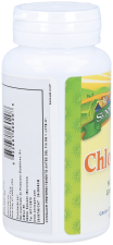 Chlorofil 100 mg 90 tabletek