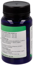 Triphala Ayurveda 60 kapsułek