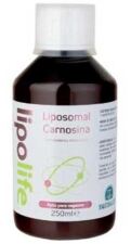 Lipolife Liposomalna karnozyna 250 ml
