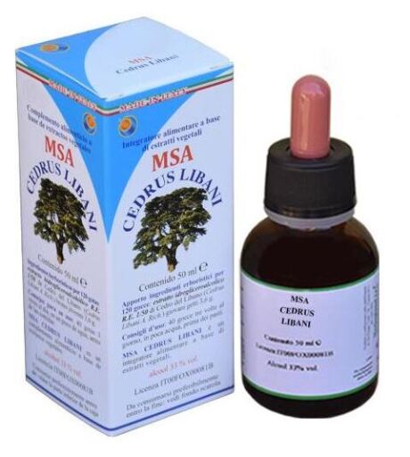 Pąki Msa Cedrus Libani 50 ml