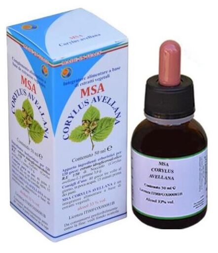 Msa Corylus Pąki z orzechów laskowych 50 ml