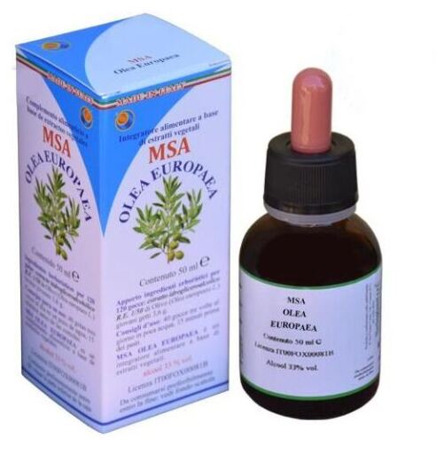 Herboplanet Msa Olea Europaea Młode Pędy 50 ml