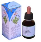 Msa Olea Europaea Młode Pędy 50 ml