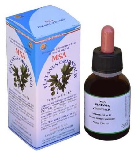 Pąki Msa Platanus Orientalis 50 ml
