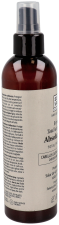 Absolute Pro Spray ochronny do włosów 250 ml