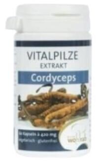 Cordyceps 60 kapsułek