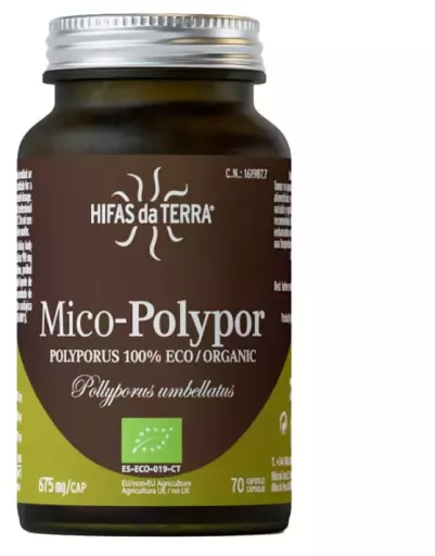 Hifas da Terra Hdt Mico Polypor Polyporus Hdt 70 kapsułek