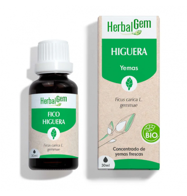 Drzewo figowe 30 ml Bio