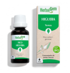 Drzewo figowe 30 ml Bio