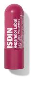 Lip Repairer 4 gr