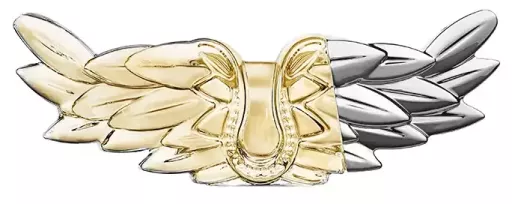 Perfumy Zadig
