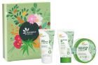 Zestaw prezentowy Aloe Vera Softness (3 sztuki) Zestaw prezentowy Aloe Vera Softness (3 sztuki)